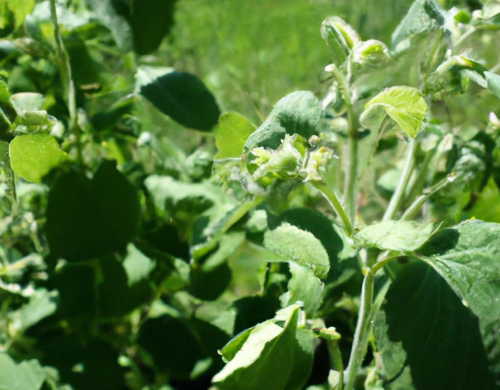 Bielone czy z surowego drewna? Jakie ławki ogrodowe podkreślą styl twego ogrodu?