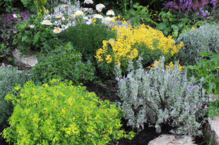 W jaki sposób efektownie oddzielić różne strefy w ogrodzie?