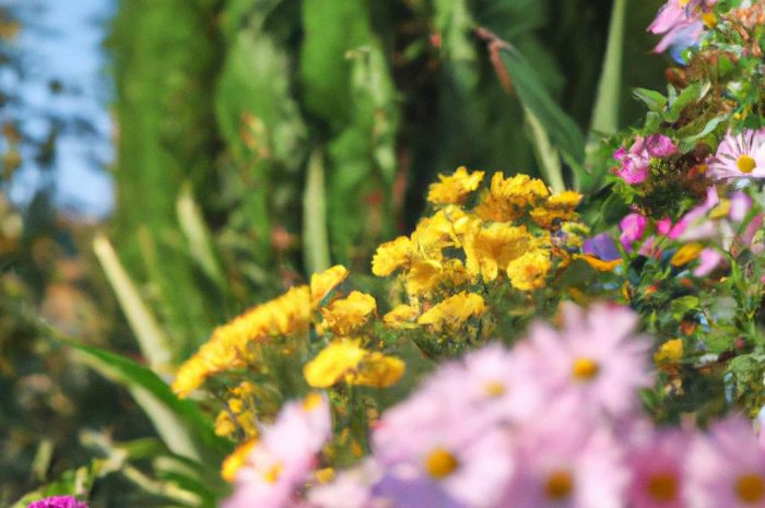 Wiosenne prace w przydomowym ogródku – maj w ogrodzie