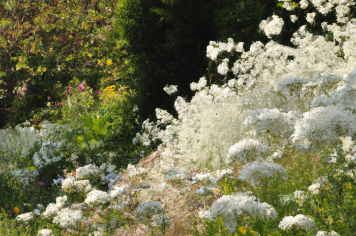 Wiosna w ogrodzie – jak wyglądają wiosenne porządki, jakie prace należy wykonać?