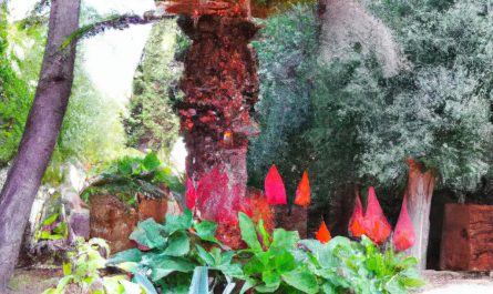 Bodziszek korzeniasty – uprawa rośliny w ogrodzie. Co warto wiedzieć?