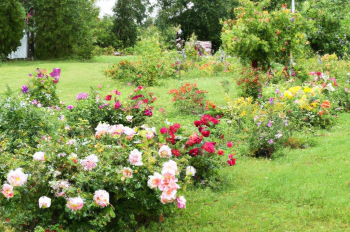 Wyjście na ogród – jak zaaranżować je w ciekawy sposób?