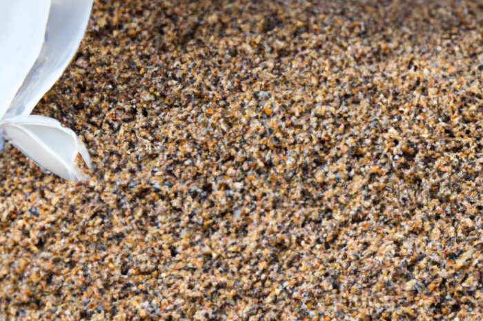 Zakładanie trawnika – jak i kiedy posiać swoją własną trawę?