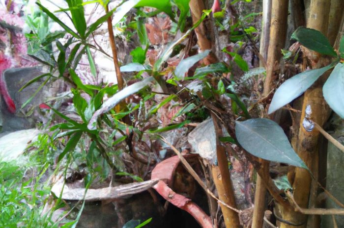 Zielistka – charakterystyka, ciekawe odmiany, zasady pielęgnacji i wymagania