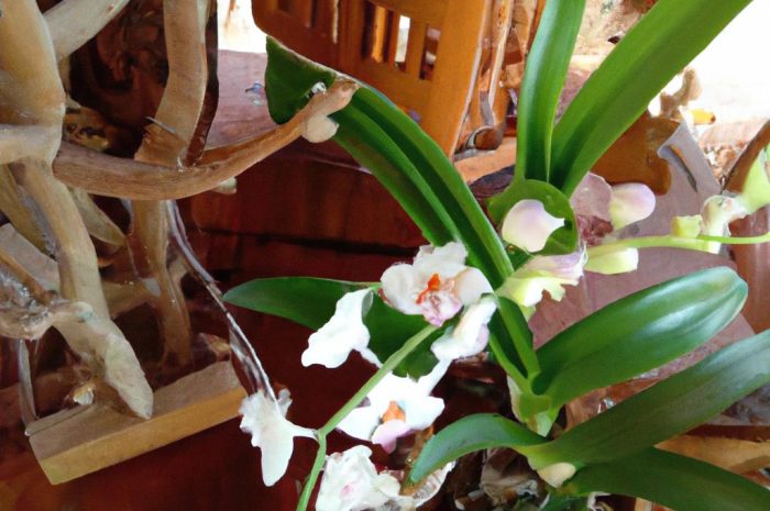 Ziemia do storczyka – jak podłoże wpływa na kwiaty?