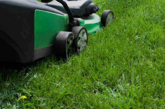 pierwsze-koszenie-trawy