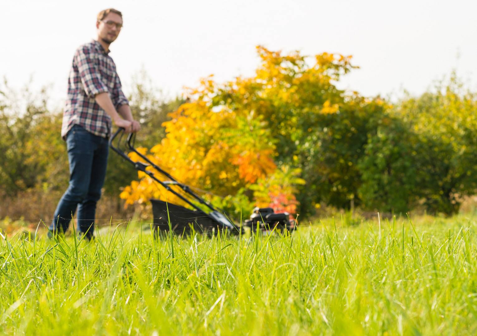 Koszenie trawy kosiarką to sposób na zadbanie o jej kondycję i prawidłowy wzrost