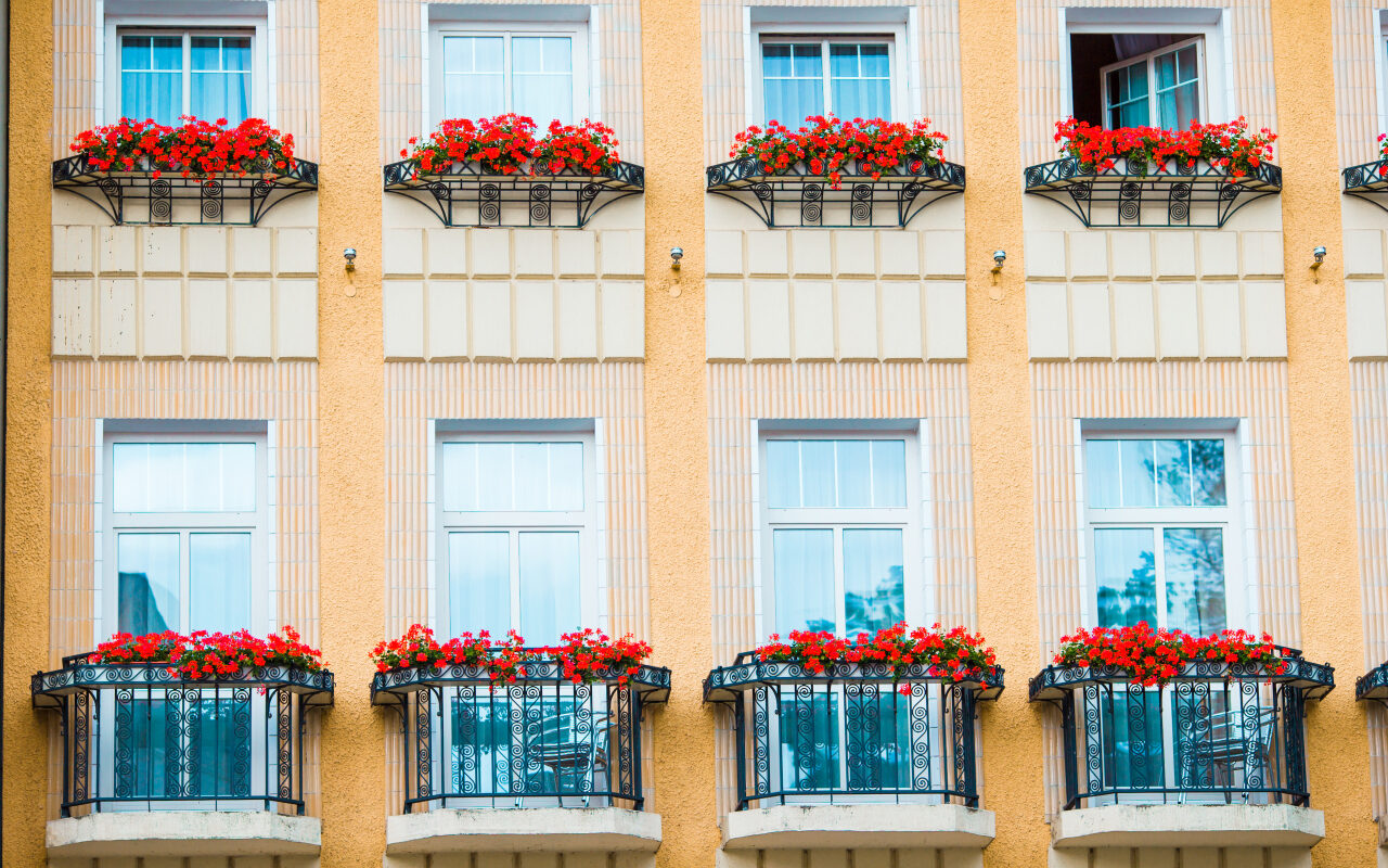 jakie kwiaty na balkon