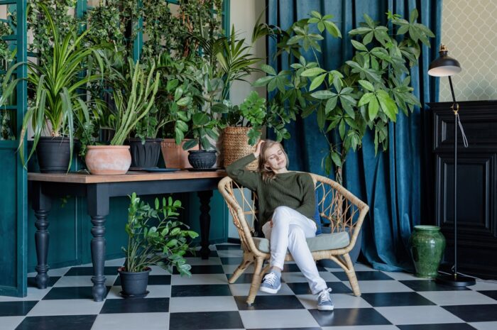 Rośliny do ciemnego mieszkania: przewodnik dla początkujących i zaawansowanych